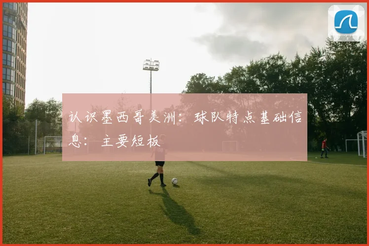 认识墨西哥美洲：球队特点基础信息：主要短板